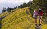 Ferienwohnung Bayern: Bayernpark Ruhpolding In Siegsdorf/eisenärzt, ...