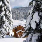 Ferienhaus La Bresse: Le Cincle Plongeur 