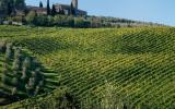 Ferienwohnung San Gimignano: Villa Dini It5257.200.7 