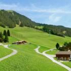 Ferienhaus Tirol Radio: Chalet Salvenalm 