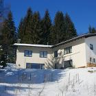 Ferienwohnungkärnten: Ferienwohnung Im Skigebiet Verditz - Kärnten 