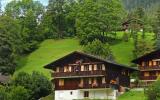 Ferienwohnung Grindelwald: Blaugletscher Ch3818.315.1 