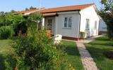 Ferienhaus Porec: Ferienhaus Mit Swimmingpool Und Klimaanlage 