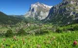 Ferienwohnung Grindelwald: Chalet Jungfrau Ch3818.107.2 