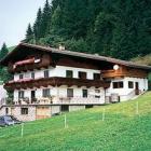 Ferienhaus Tirol Fernseher: Almhof 