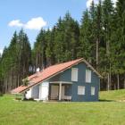 Ferienhaus Allarmont: Chalet Bleu 