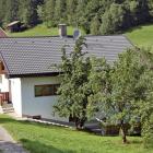 Ferienhaus Aschau Tirol Radio: Ferienhaus Aschau 