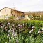 Ferienhaus Vinzelles Burgund: Le Gîte Des Blancs 