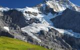 Ferienwohnung Grindelwald: Holzwurm Ch3818.580.1 