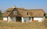 Ferienhaus Süddanemark: Blåvand Dk1055.3160.1 