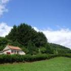 Ferienhaus Larochemillay: Ruhiges, Freistehendes Ferienhaus Im Parc ...