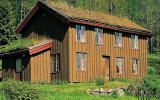 Ferienhaus Norwegen: Fyresdal 13542 