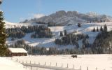 Ferienwohnung Villars Waadt: Bonne Chance Ch1884.826.2 