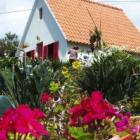 Ferienhaus Ribeira Brava Madeira: Casas Típicas In Ribeira Brava ...