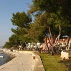 Ferienwohnung Kroatien: Ferienwohnung Fazana 