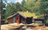 Ferienhaus Norwegen: Tovdal/tveitvatnet N34242 