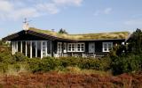 Ferienhaus Süddanemark: Blåvand 82725 