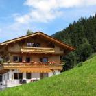 Ferienwohnung Hart Im Zillertal: Haus Steiner 