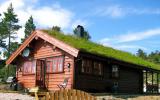 Ferienhaus Norwegen: Tovdal/hillestadheia N34224 