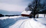 Ferienhaus Lothringen Fernseher: La Bergerie (Fr-88290-03) 