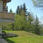 Ferienhaus Sankt Johann In Tirol: Villa Berglehen 