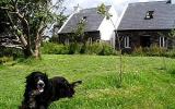 Ferienhaus Kilrush Clare: Old Parochial House In Cooraclare, Co. Clare ...