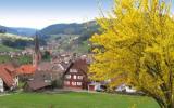 Ferienwohnung Baiersbronn: Ferienwohnungen Goldener Hahn In Baiersbronn ...