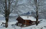 Ferienhaus Obwalden Fernseher: Brog (Ch-3860-01) 