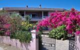 Ferienwohnung Posada Sardegna: Magnolia Bilo (It-08020-04) 