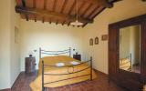 Ferienwohnung Calci Toscana: Fattoria La Pieve (Clc253) 