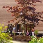 Ferienhaus Oosterhout Noord Brabant: Vakantiepark De Katjeskelder 