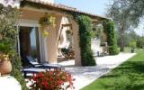 Ferienhaus Grasse Provence Alpes Côte D'azur: Grasse Fr8628.775.1 