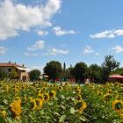 Ferienhaus Umbrien: Ferienhaus Castiglione Del Lago 