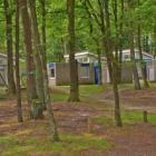 Ferienhaus Kootwijk Heizung: Vakantiepark De Berkenhorst 
