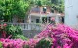 Ferienhaus Kampanien: Amacaflat Ein]Tauchen Garten 
