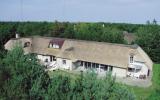 Ferienhaus Süddanemark: Blåvand Strand A3509 