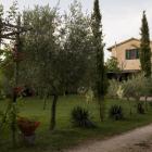 Ferienwohnung Italien: Apartment Olivo B 