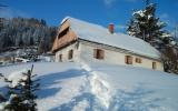 Ferienhaus Hirschegg Steiermark: Almhütte Kochhube (At-8584-01) 