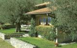 Ferienhaus Italien: Agello Iut461 