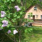 Ferienhaus Hanviller Fernseher: La Schwingmuhle 