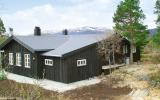 Ferienhaus Norwegen: Hovden 14877 