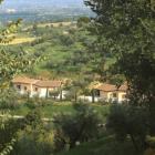 Ferienhaus Italien: Olivi 1 