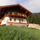 Ferienwohnung Tirol: Chalet Salvenalm 
