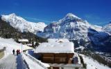 Ferienhaus Grindelwald: Heimat (Ch-3818-42) 