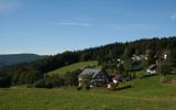 Ferienhaus Herrischried Fernseher: Mattenhof (De-79737-01) 