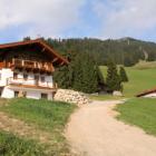 Ferienwohnung Hopfgarten Im Brixental: Chalet Salvenalm 