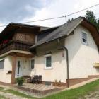 Ferienhaus Bleiburg: Erich 