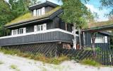 Ferienhaus Norwegen: Åseral 29655 