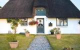 Ferienhausniedersachsen: Friesenhaus In Langenhorn (Dns09003) 