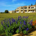 Ferienhaus Umag Fernseher: Sol Polynesia 